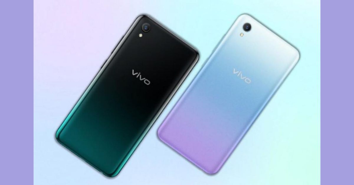 y1s vivo