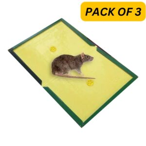 Mouse Glue Traps Reusable Expert-modernwears-pk-price-pakistan